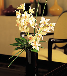  Kastamonu iekiler  cam yada mika vazo ierisinde dal orkide