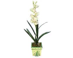 zel Yapay Orkide Beyaz   Kastamonu online ieki , iek siparii 