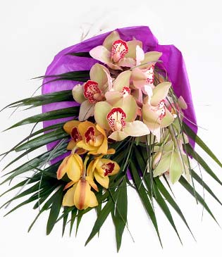  Kastamonu cicekciler , cicek siparisi  1 adet dal orkide buket halinde sunulmakta