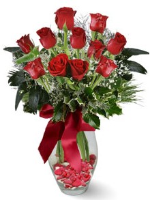 9 adet gül  Kastamonu internetten çiçek satışı  kirmizi gül