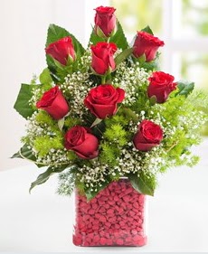 Cam içerisinde 9 adet kırmızı gül  Kastamonu internetten çiçek satışı 