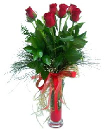 vazo içerisinde 5 kırmızı gül  Kastamonu güvenli kaliteli hızlı çiçek 