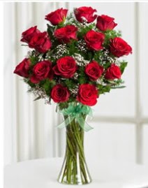 Cam vazo içerisinde 11 kırmızı gül vazosu  Kastamonu anneler günü çiçek yolla 