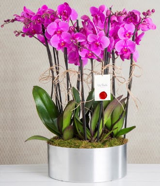 11 dall mor orkide metal vazoda  Kastamonu iek gnderme sitemiz gvenlidir 