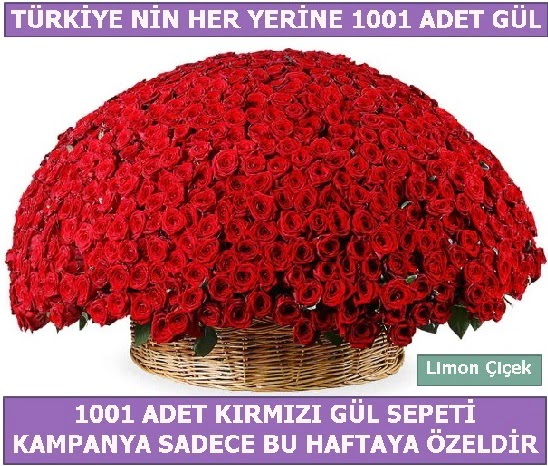 1001 Adet kırmızı gül Bu haftaya özel  Kastamonu İnternetten çiçek siparişi 