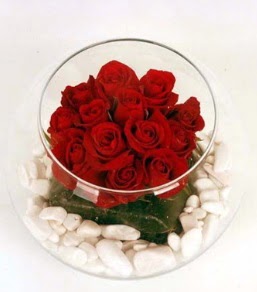 Cam fanusta 11 adet kırmızı gül  Kastamonu çiçek gönderme 