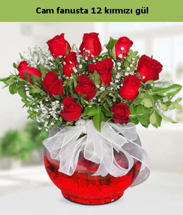 Cam içerisinde 12 adet kırmızı gül  Kastamonu internetten çiçek satışı 