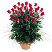 Kastamonu uluslararası çiçek gönderme  10 adet kirmizi gül cam yada mika vazo