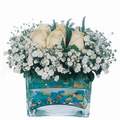 mika ve beyaz gül renkli taslar   Kastamonu çiçek satışı 