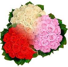3 renkte gül seven sever   Kastamonu çiçek , çiçekçi , çiçekçilik 