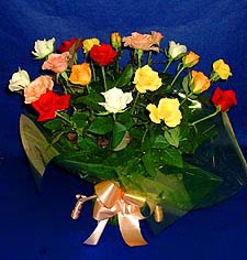  Kastamonu hediye çiçek yolla  13 adet karisik renkli güller