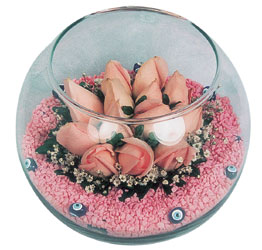  Kastamonu internetten çiçek satışı  cam fanus içerisinde 10 adet gül