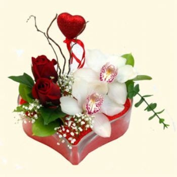  Kastamonu hediye sevgilime hediye çiçek  1 kandil orkide 5 adet kirmizi gül mika kalp