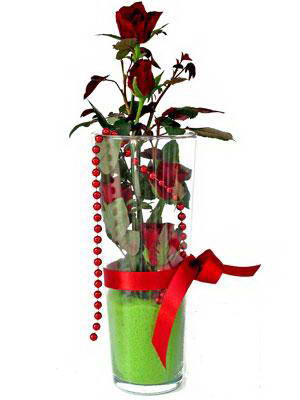  Kastamonu online çiçek gönderme sipariş  Cam yada mika içerisinde 9 adet kirmizi gül - sevdiklerinize özel 