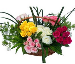  Kastamonu ucuz çiçek gönder  35 adet rengarenk güllerden sepet tanzimi