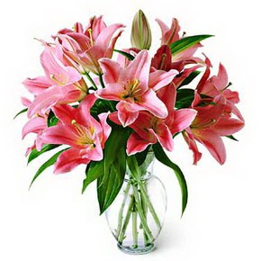 3 dal kazablanka görsel vazosu  Kastamonu internetten çiçek siparişi 