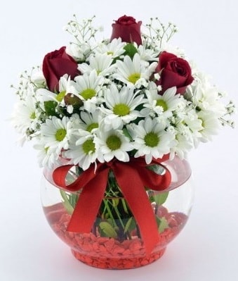 Fanusta 3 Gül ve Papatya  Kastamonu internetten çiçek satışı 