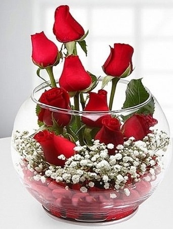 Kırmızı Mutluluk fanusta 9 kırmızı gül  Kastamonu çiçek siparişi sitesi 