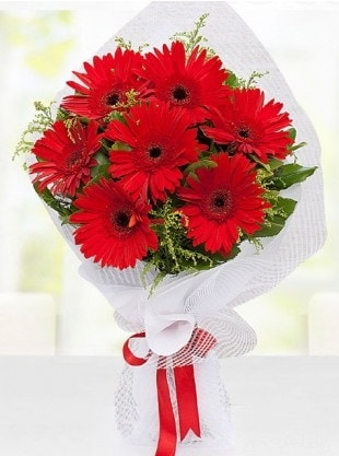 Kırmızı Gelbera Buketi  Kastamonu internetten çiçek siparişi 