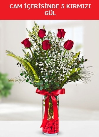 Cam içerisinde 5 adet kırmızı gül  Kastamonu çiçek siparişi sitesi 